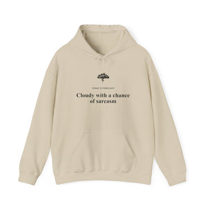 Cloudy With a Chance of Sarcasm Hoodie-Hoodie-Wild Pour