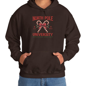 North Pole University, Candy Canes Hoodie-Hoodie-Wild Pour