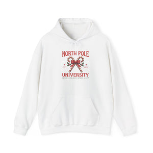 North Pole University, Candy Canes Hoodie-Hoodie-Wild Pour