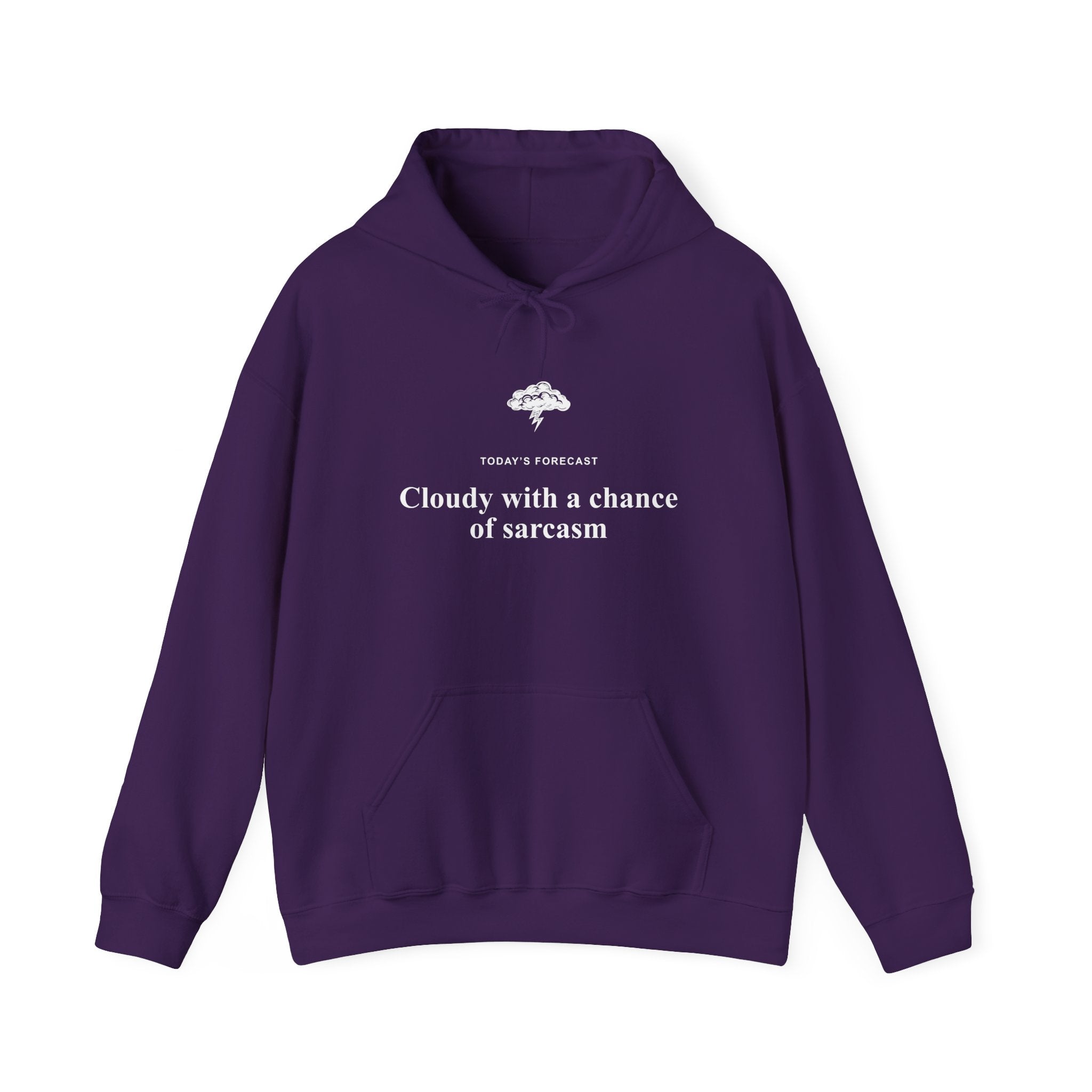 Cloudy With a Chance of Sarcasm Hoodie-Hoodie-Wild Pour