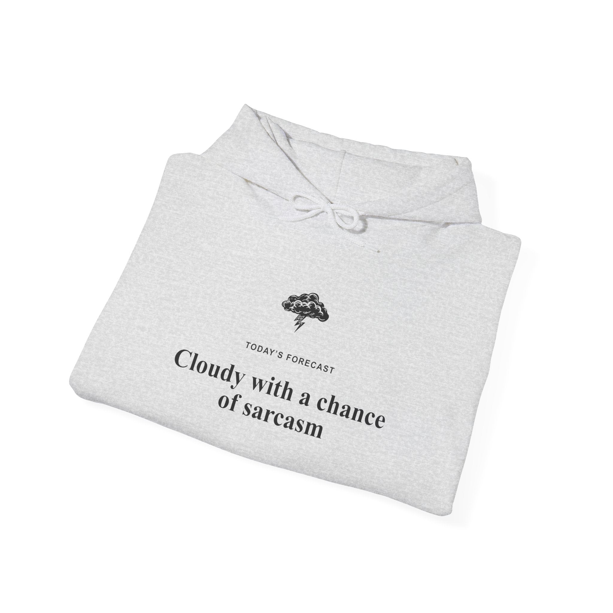 Cloudy With a Chance of Sarcasm Hoodie-Hoodie-Wild Pour