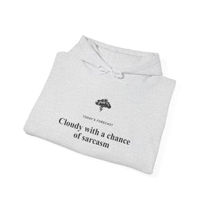 Cloudy With a Chance of Sarcasm Hoodie-Hoodie-Wild Pour