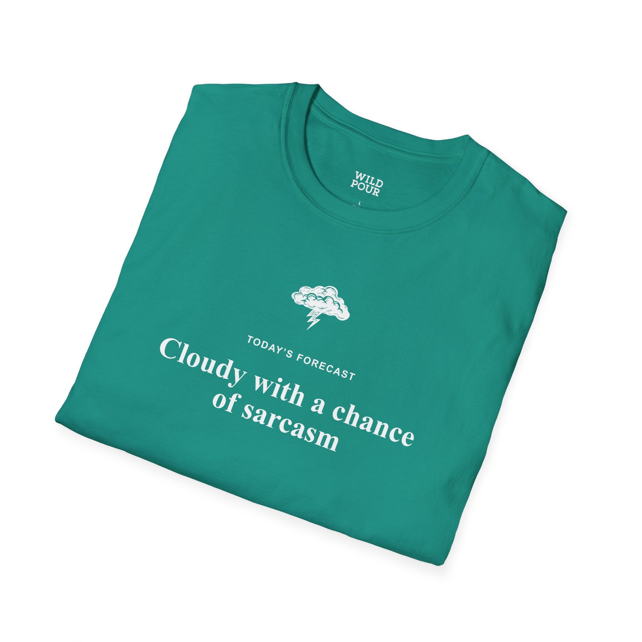 Cloudy With a Chance of Sarcasm Tee-Adult Tees-Wild Pour