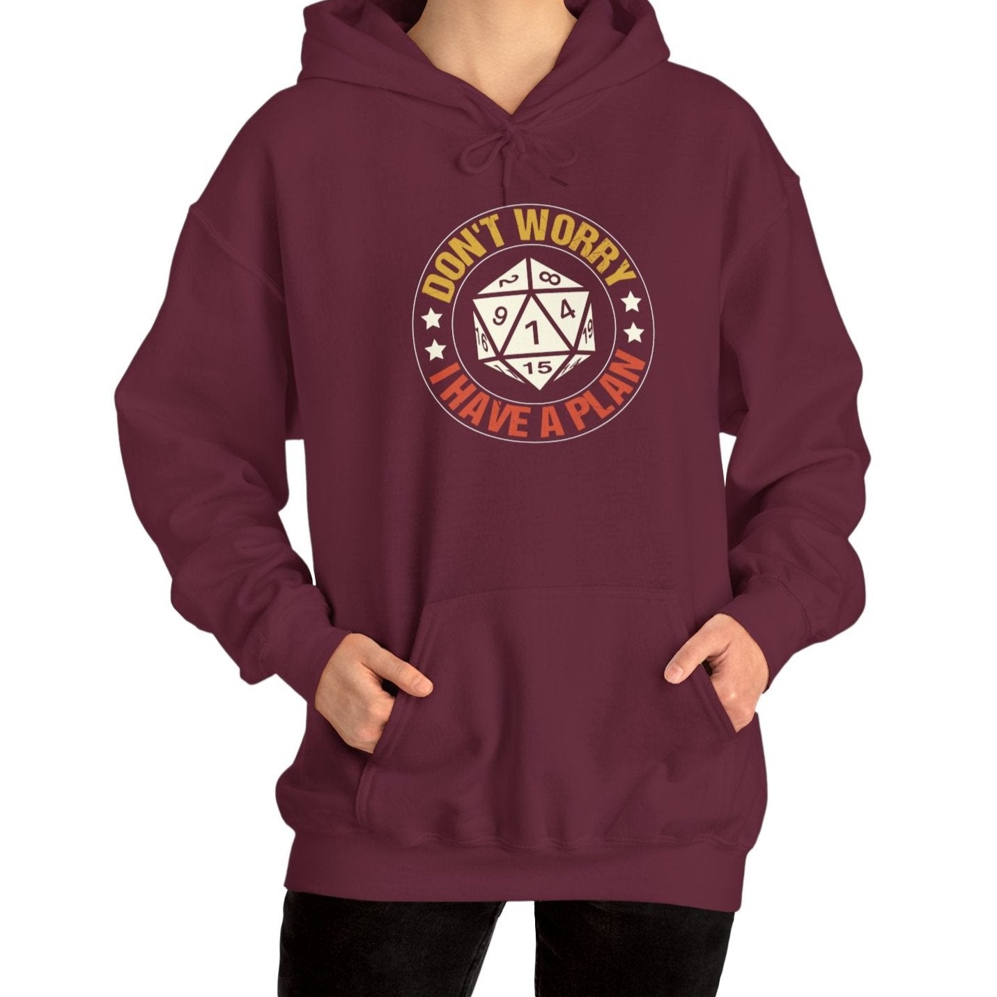 Don't Worry, I Have a Plan D20 Hoodie-Hoodie-Wild Pour