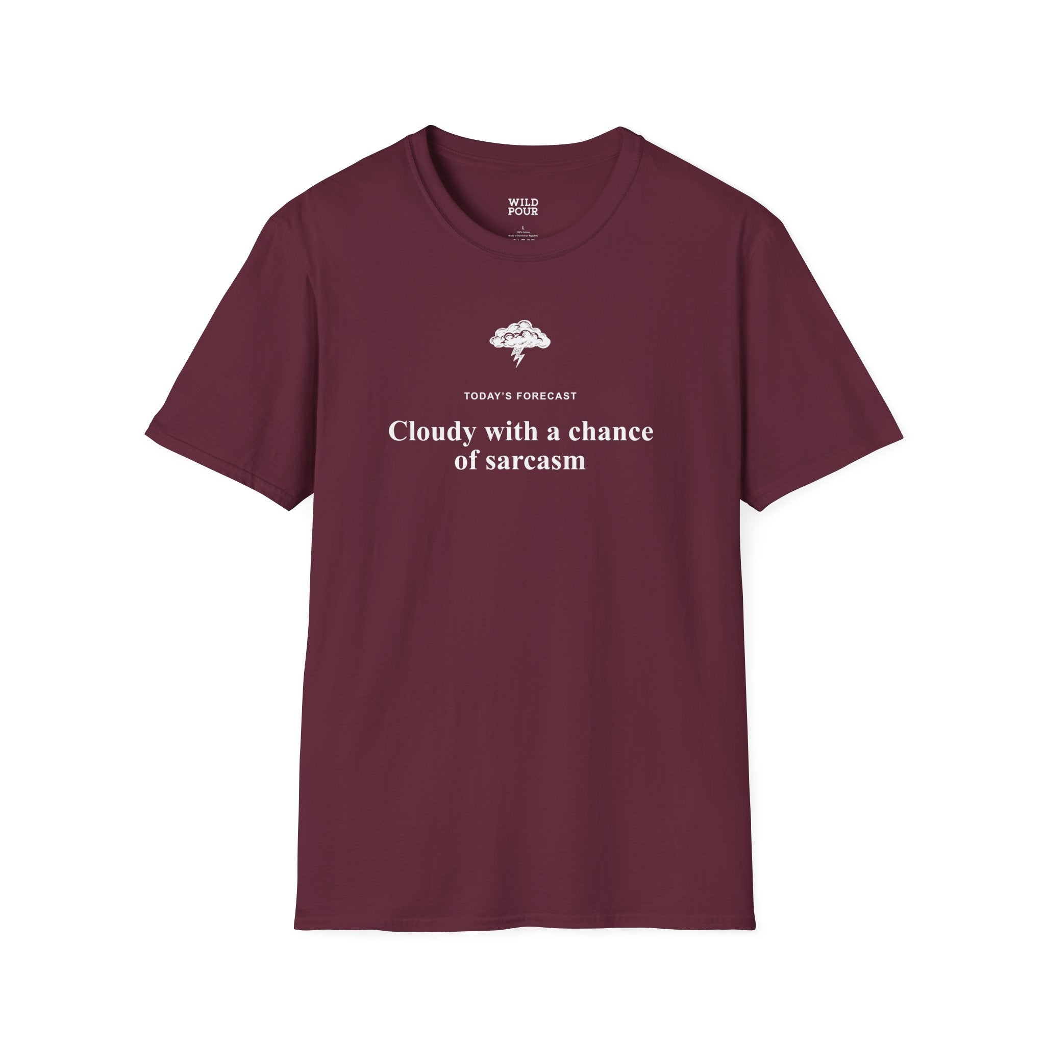 Cloudy With a Chance of Sarcasm Tee-Adult Tees-Wild Pour