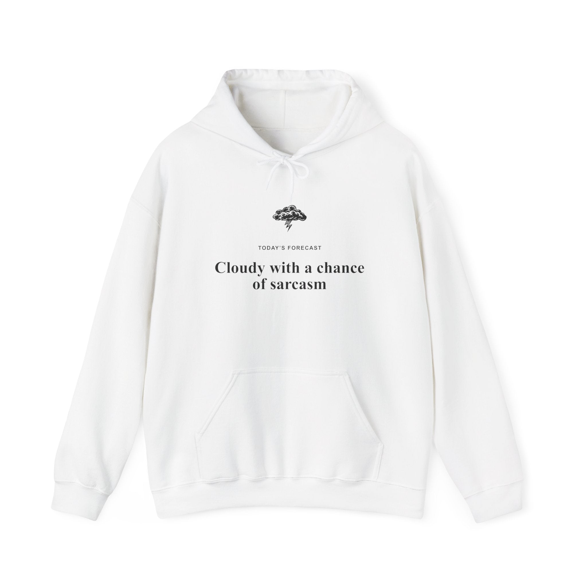 Cloudy With a Chance of Sarcasm Hoodie-Hoodie-Wild Pour